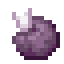 Plod chorusu