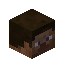 Hlava hráče